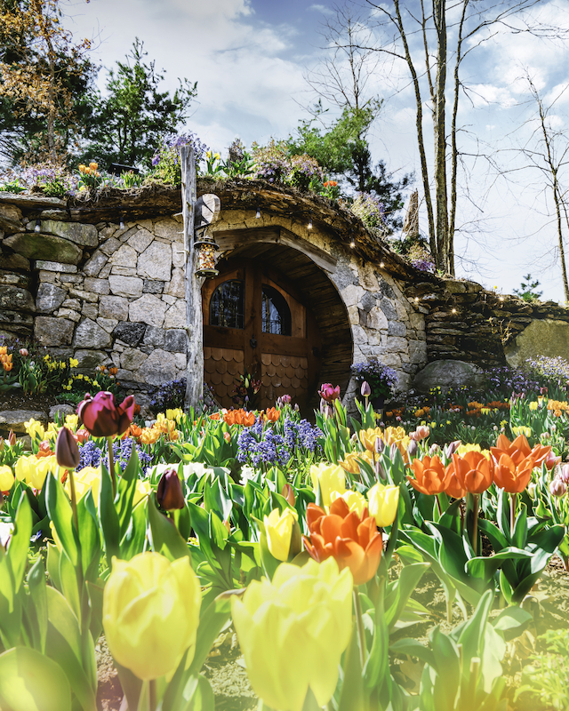 Experience spring's magic at The Preserve with our Hobbit House Photo Experience™, featuring a vibrant tulip garden and whimsical stone house.