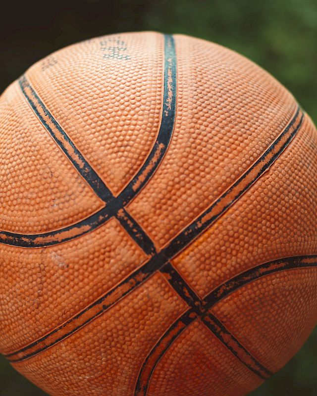 Close-up of a basketball with the backdrop of trees, capturing the outdoor essence of basketball at The Preserve Resort & Spa.
