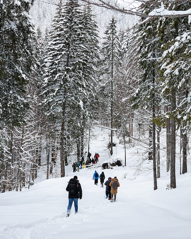 A group of trekkers journey through a snow-covered trail at Preserve Resort & Spa, surrounded by the stillness of a winter forest.