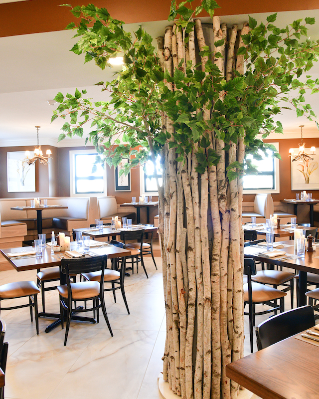 White Birch Cafe with a unique tree column at The Preserve Resort & Spa in Rhode Island, ideal for dining events.