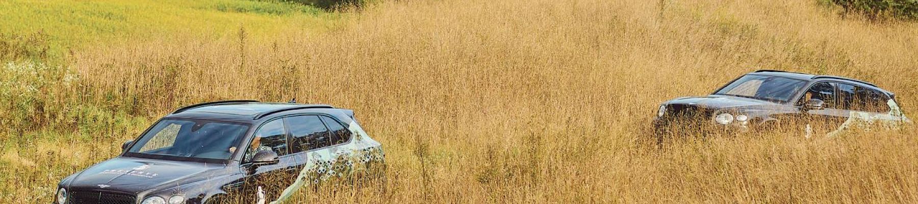 Experience the ultimate outdoor adventure at The Preserve