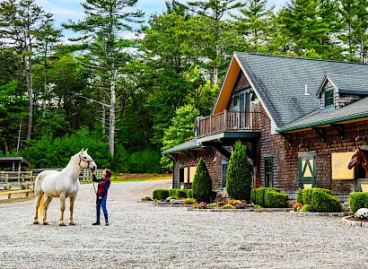A person is standing with a horse outside of a rustic stable, with another horse looking out from a window, surrounded by trees and greenery.