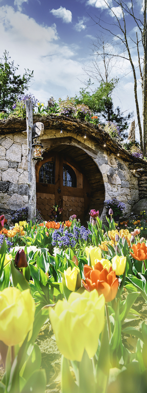 A stone building with a round wooden door is surrounded by a colorful tulip garden under a blue sky.