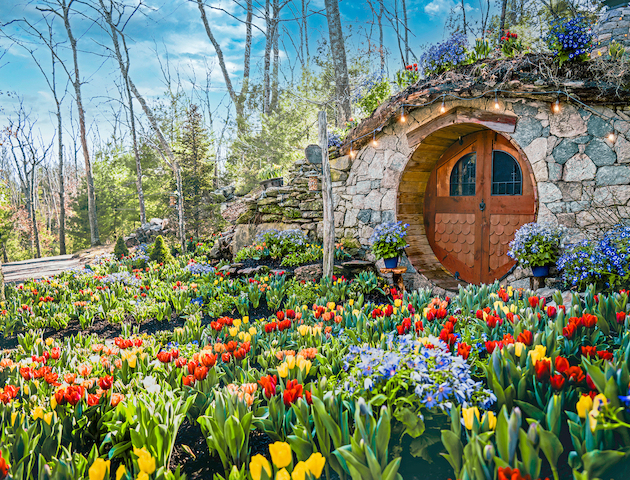 A charming hobbit-like house with a round wooden door is surrounded by vibrant gardens full of red, yellow, and purple flowers.