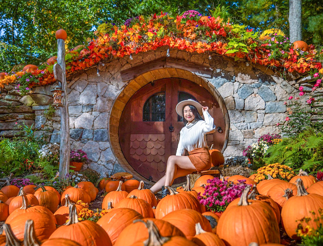 A person in a hat sits by a round door, surrounded by pumpkins and colorful flowers, in a garden setting with trees in the background.