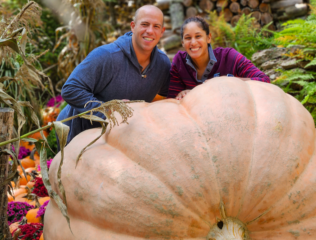 A man and woman pose behind a giant pumpkin, surrounded by smaller pumpkins, in a garden setting.
