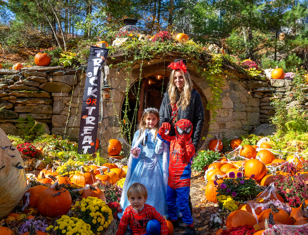 A group in Halloween costumes stands among pumpkins and flowers in front of a decorated, rustic house with a 