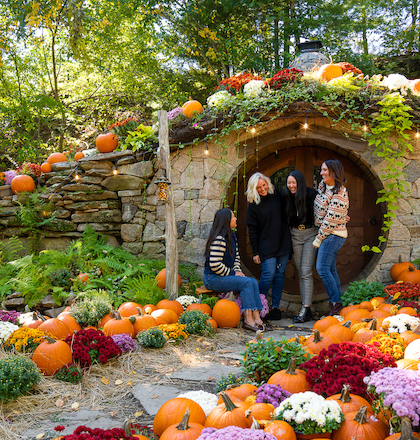 Four people stand near a stone structure surrounded by pumpkins and colorful flowers in a garden setting.