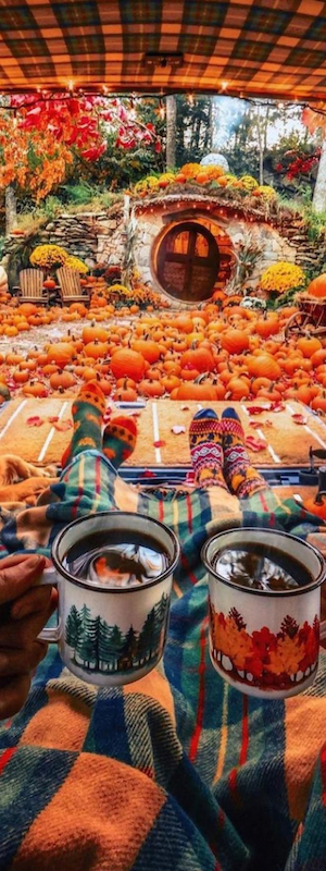 Two people with mugs relax in a cozy van filled with pumpkins, beside a dog, facing a hobbit-style house in an autumn scene.