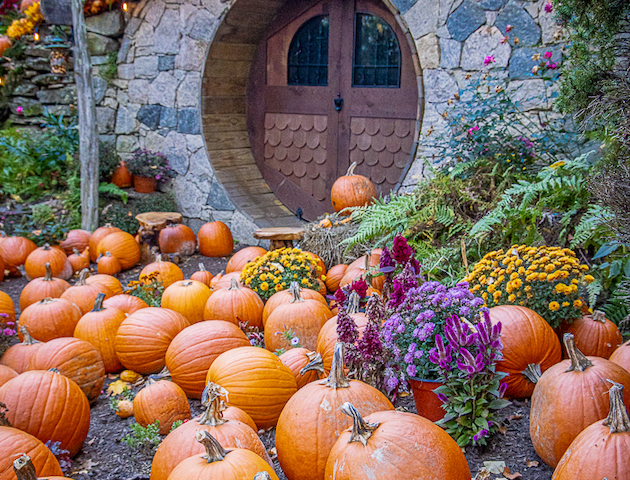 A round hobbit-style door surrounded by pumpkins and autumnal flowers in a whimsical, garden-like setting.
