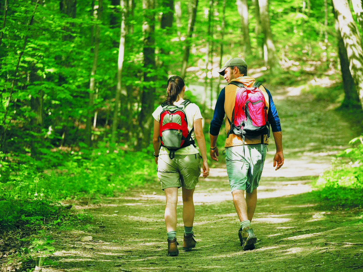 Two people are hiking on a forest trail, wearing backpacks and walking together through lush green surroundings.