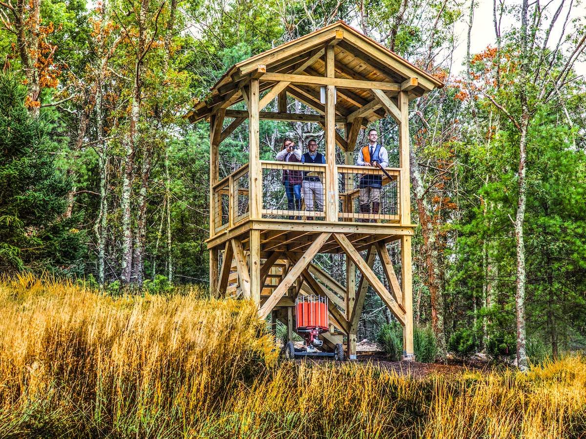 The image shows a wooden observation tower in a forested area, with people standing on the upper platform, surrounded by trees.