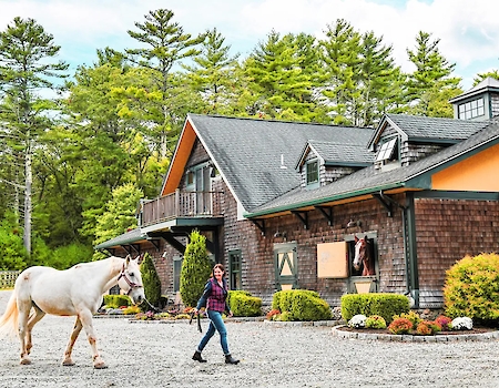 A person leads a white horse near a rustic barn surrounded by greenery and trees, showcasing a peaceful rural setting.
