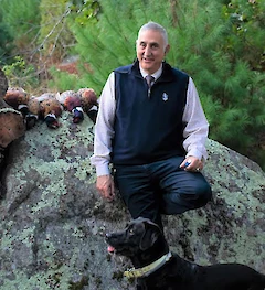 A person is sitting on a large rock outdoors with a dog, and there are several colorful objects lined up on the rock.