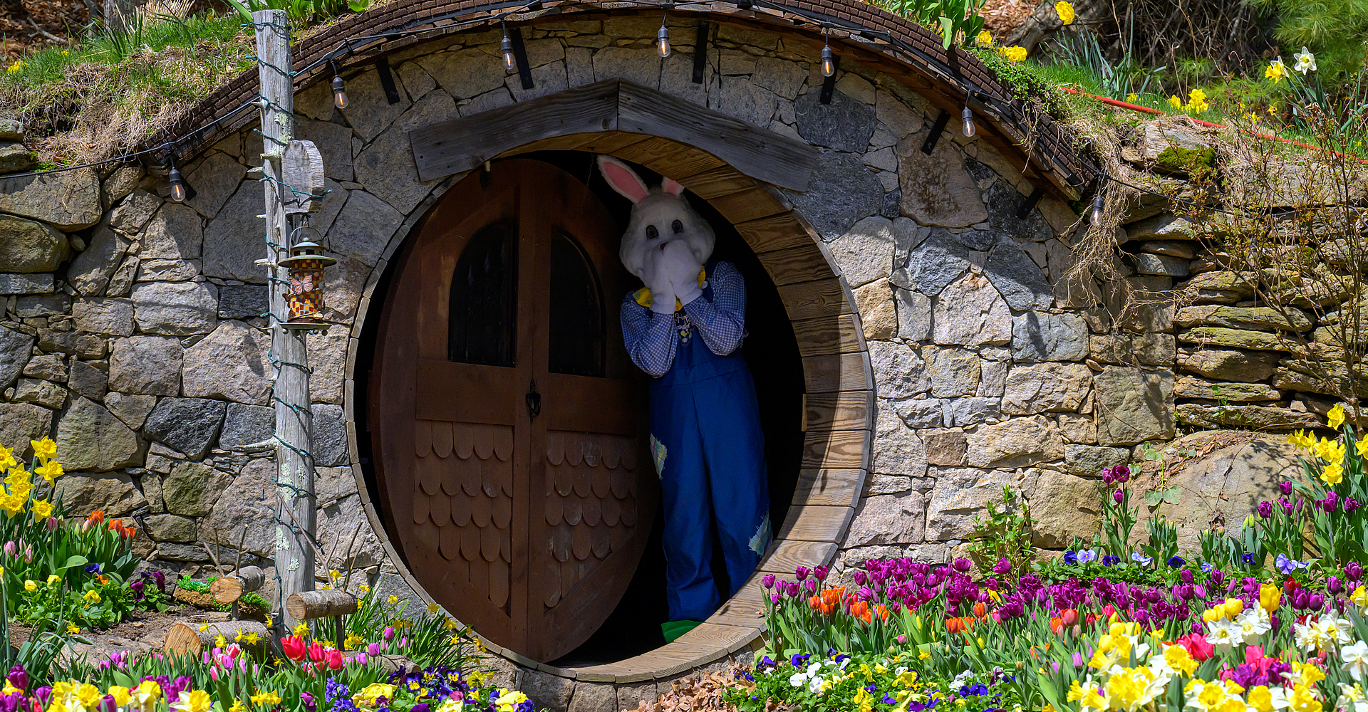 A person in a bunny costume stands in a round doorway of a hobbit-like house surrounded by colorful flowers and greenery.