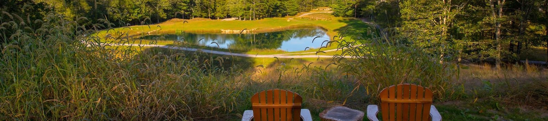 Two wooden chairs face a scenic pond surrounded by trees, with a log serving as a side table, under a clear blue sky.