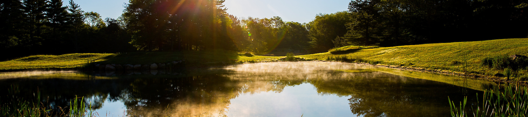 A serene pond reflects the morning sun, surrounded by trees and grass under a clear blue sky.