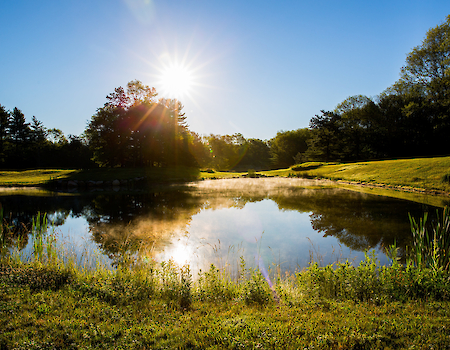 A serene pond reflects the morning sun, surrounded by trees and grass under a clear blue sky.