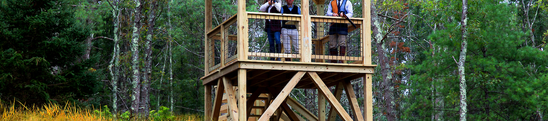 A group of people stands on a wooden observation tower surrounded by a forest.