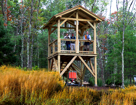 A group of people stands on a wooden observation tower surrounded by a forest.