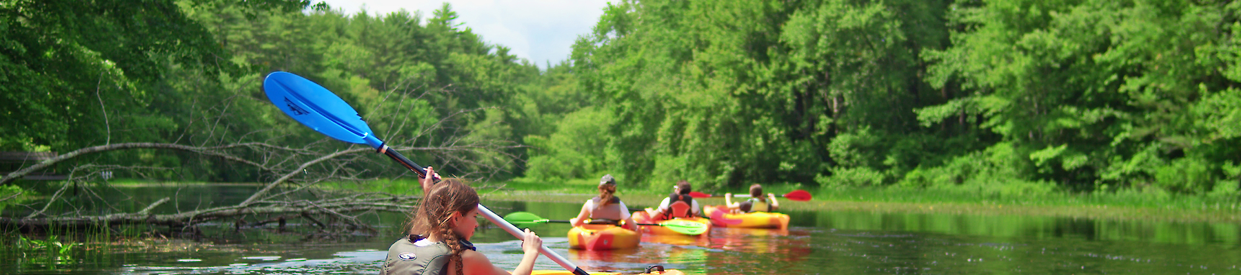 People are kayaking on a calm river surrounded by lush green trees under a clear blue sky.