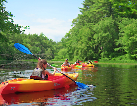 People are kayaking on a calm river surrounded by lush green trees under a clear blue sky.