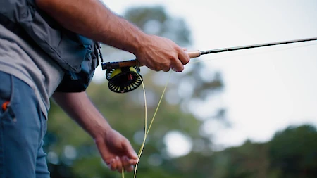 A person is fly fishing, holding a fishing rod with a reel, against a blurred outdoor background.