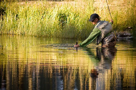 A person is fly fishing in a calm, reflection-filled body of water surrounded by greenery, holding a fishing rod.