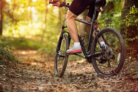 A person is riding a bicycle on a leafy forest trail, surrounded by trees and sunlight filtering through the foliage.