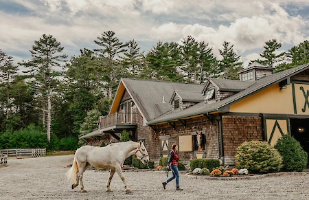A person leads a white horse near a barn surrounded by trees and colorful pumpkins on the ground.