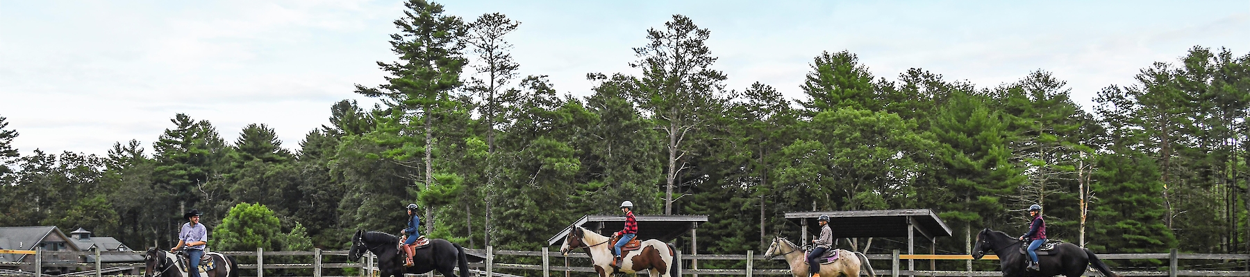 Four people are horseback riding in a grassy field with trees and a blue sky in the background.