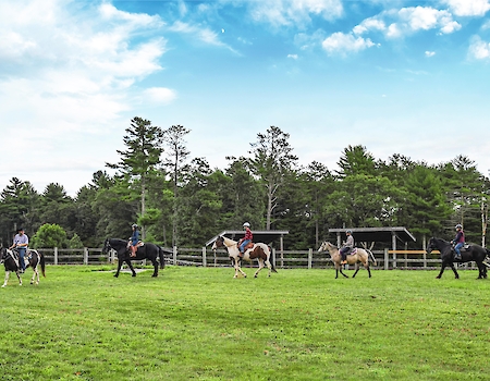 Four people are horseback riding in a grassy field with trees and a blue sky in the background.