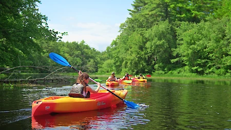 People are kayaking on a calm river surrounded by lush greenery and bright blue skies.