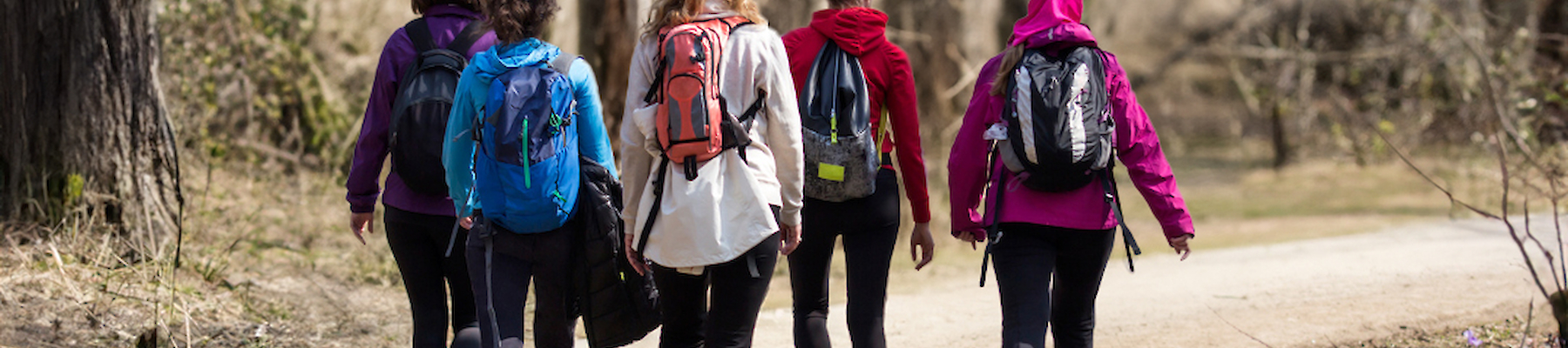 Five people wearing backpacks are walking on a forest trail.
