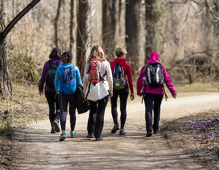 Five people wearing backpacks are walking on a forest trail.