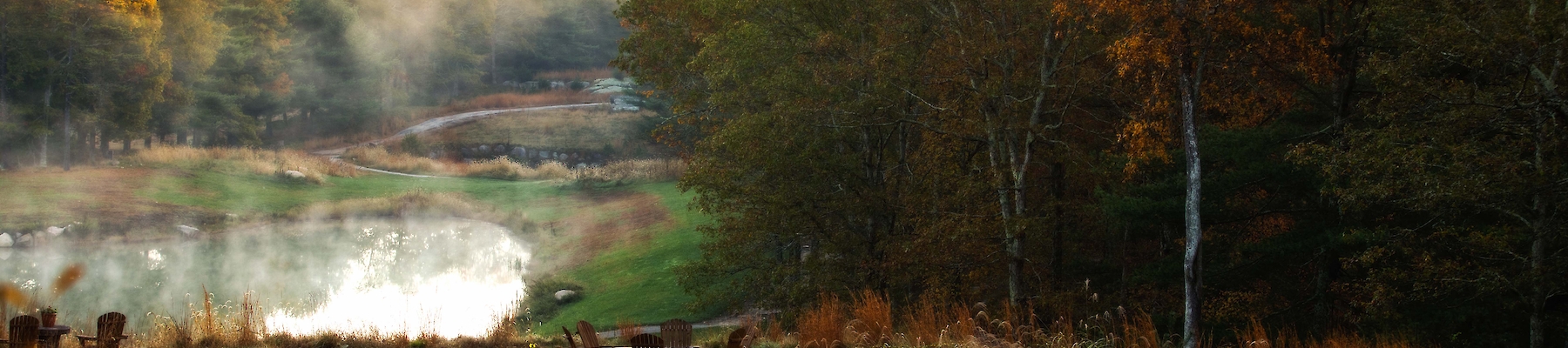 A serene landscape with autumnal trees, grassy field, a pond with mist, and wooden benches under a soft morning sky.