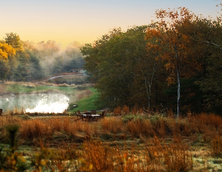 A serene landscape with autumnal trees, grassy field, a pond with mist, and wooden benches under a soft morning sky.