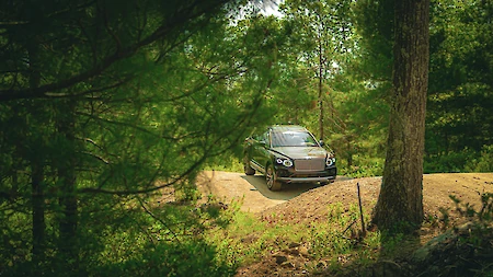 A car is driving on a dirt path in a lush, green forest setting, surrounded by trees and dense foliage.