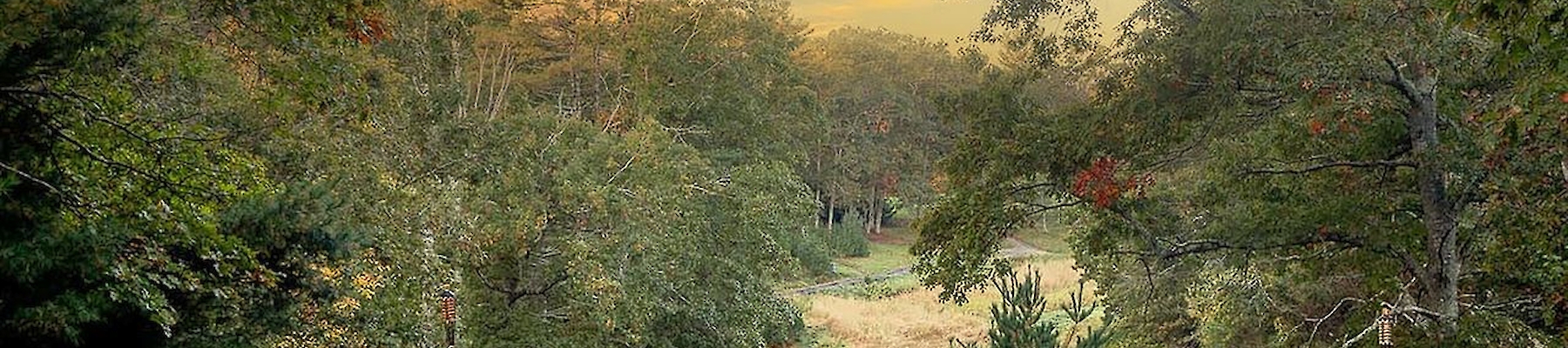 Two chairs face a fire pit on a grassy area, surrounded by trees and a wooden fence, with a scenic view under a colorful, cloudy sky.