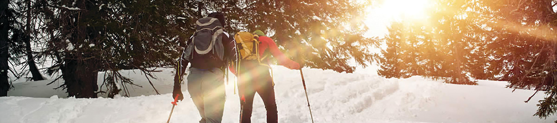 Two people are snowshoeing through a snowy landscape surrounded by trees, with the sun shining brightly in the background.