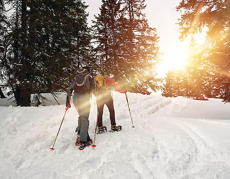 Two people are snowshoeing through a snowy landscape surrounded by trees, with the sun shining brightly in the background.