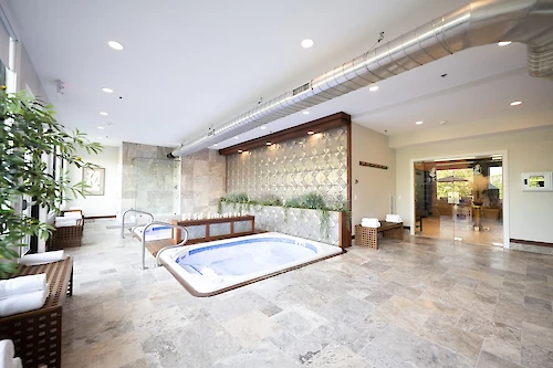 The image shows a modern spa area with a hot tub, plants, a wall waterfall, and contemporary decor in a bright, spacious room.