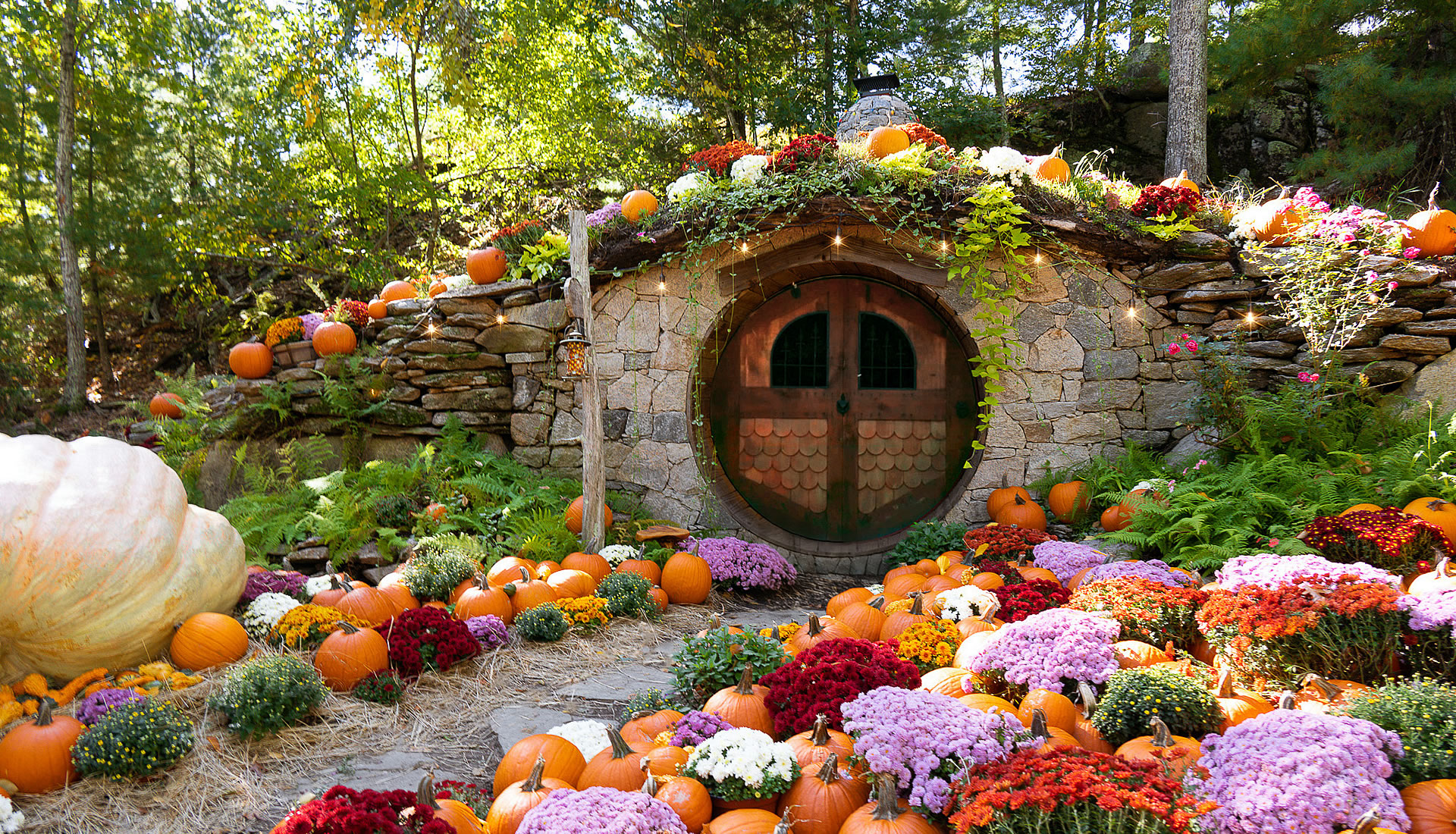 A hobbit-style house with a round wooden door, surrounded by pumpkins and colorful flowers in a garden setting.