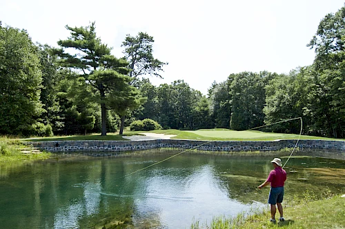A person is fly fishing by a small pond surrounded by trees and greenery on a sunny day.