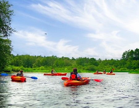 People are kayaking on a calm river surrounded by lush greenery and a clear blue sky with scattered clouds.